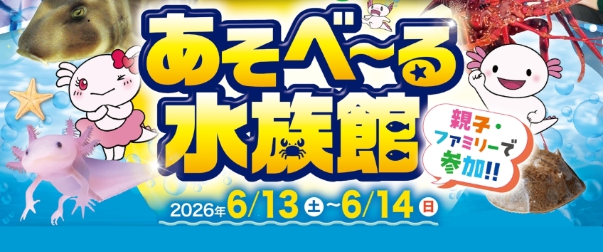 みずみずランド