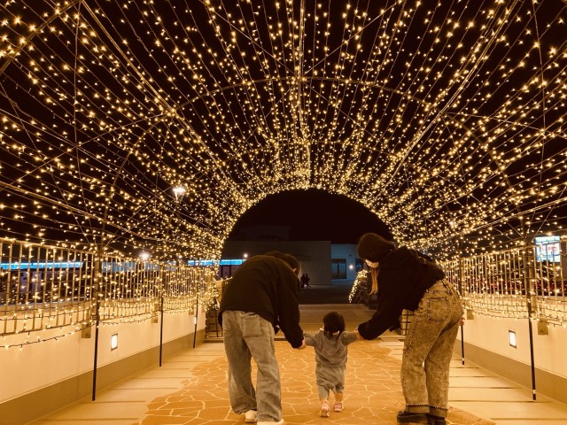 シーマークスクエア　屋上公園イルミネーション点灯開始のお知らせ